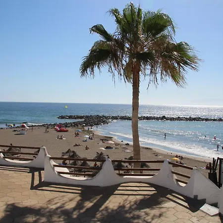 Lägenhet In Olympia Playa de las Americas (Tenerife)