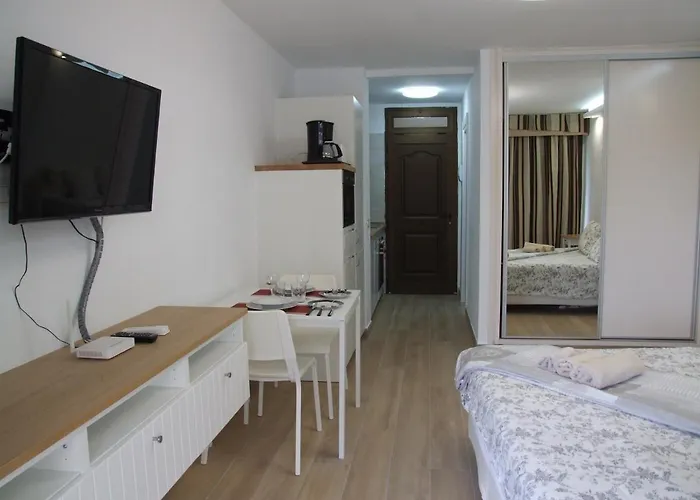 Apartment In Olympia Playa de las Americas (Tenerife)